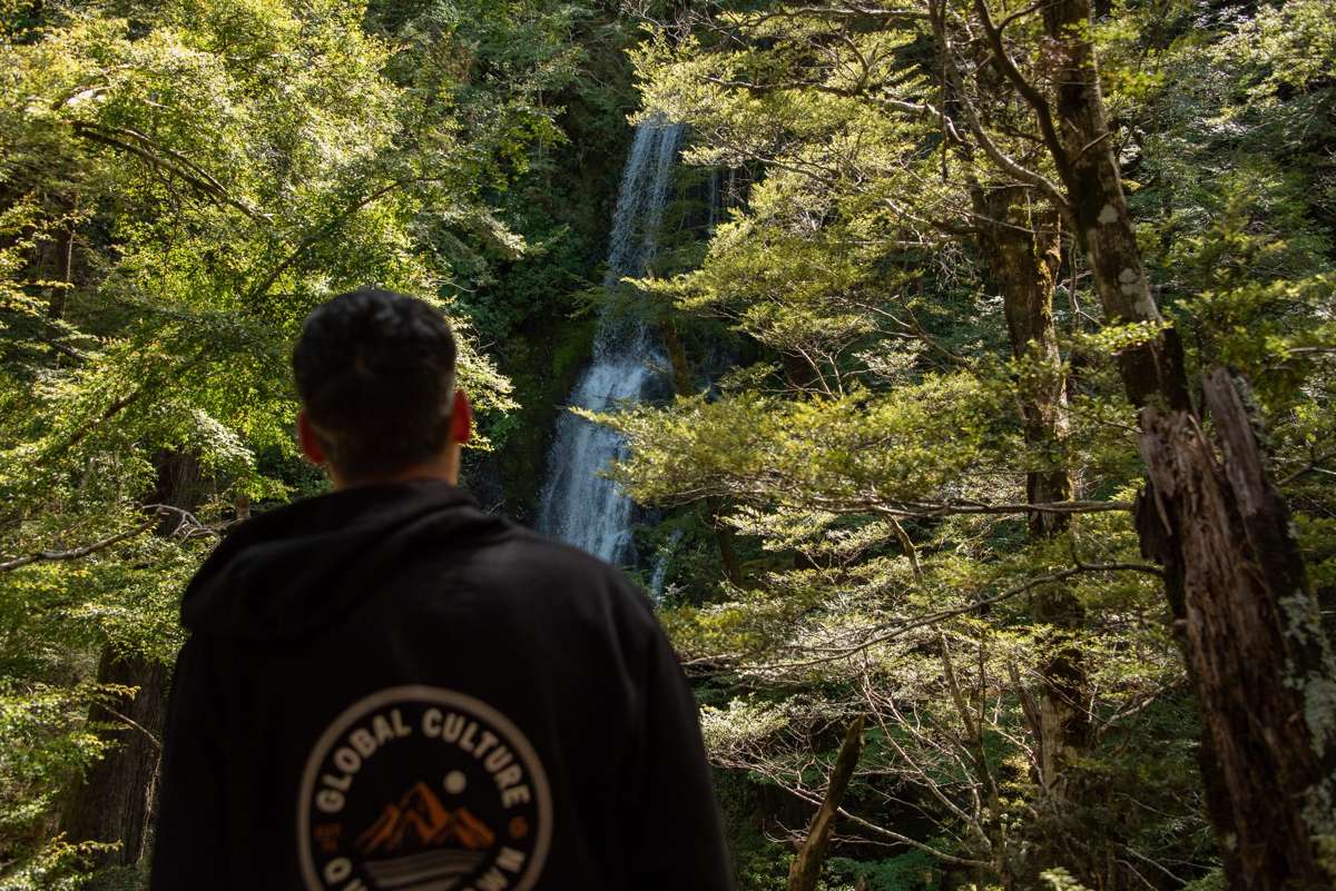 Guide and guests on the wilderness walk beside a waterfall in beech forest