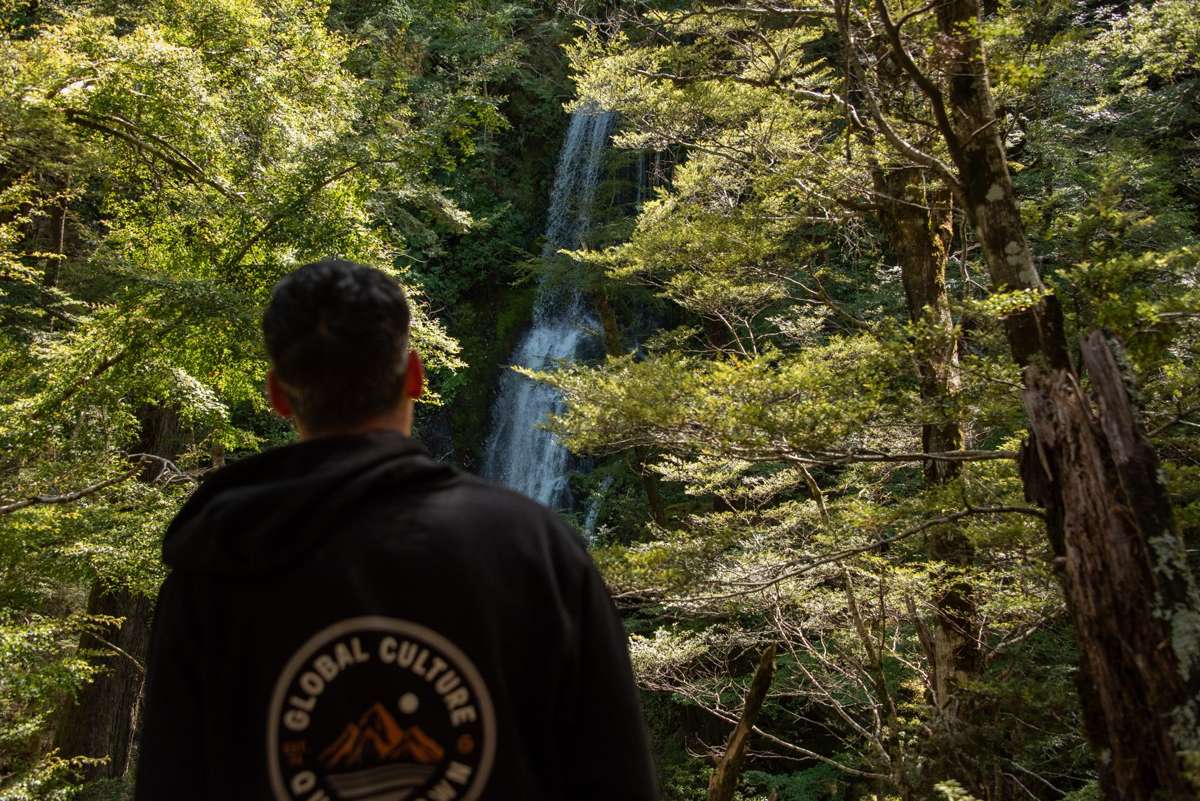 Wilderness walk through beech forest to a waterfall on the way to McGills Creek